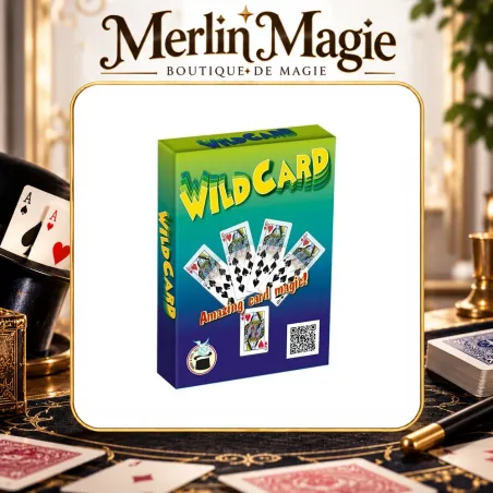 Wild Cards Bicycle | Tour des cartes folles