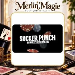 Sucker Punch by Mark Southworth