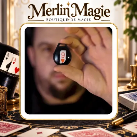Dome Alexis Touchard | Magie de scène innovante - Merlin Magie