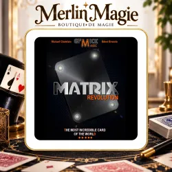 MATRIX REVOLUTION BLEU MICKAEL CHATELAIN