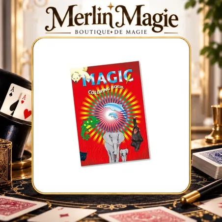 Magic Book | Livre magique pour spectacle enfant
