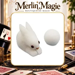 balle en mousse en lapin mousse