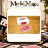 Jigsaw Deck David Regal | Puzzle et cartomagie pro