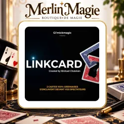 Link card de Mickael Chatelain