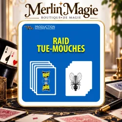 Raid Tue Mouches