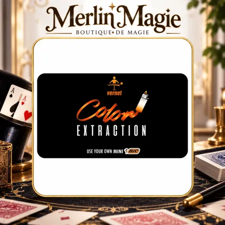 Color Extraction | Magie des couleurs par Vernet