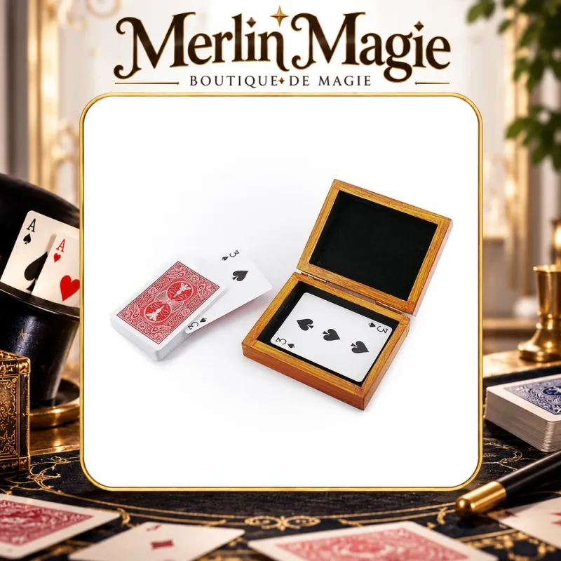 Magnetic Card Box | Boîte magique pour close-up pro