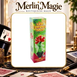 Magic Appearing Flower