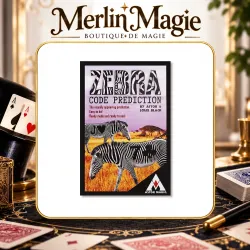 Zebra Code Prediction by Astor