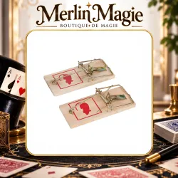 La Sourici-Card Surprise