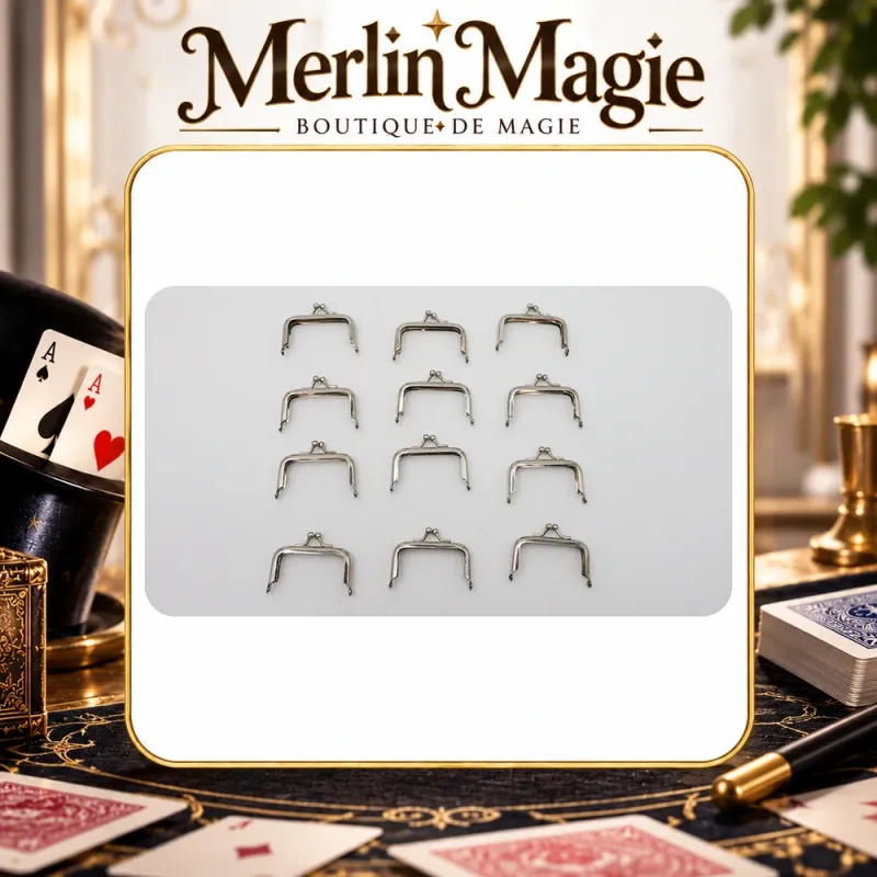Purse Frames Silver | Accessoire pièces close-up