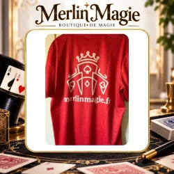 Tee-shirt Merlin magie taille unique