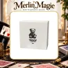Teddy | tour de magie pour magicien pro visuel à découvrir