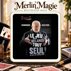 Le Jeu Qui Se Mélange Tout Seul – Dominique Duvivier