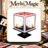 Special Disappearing Dice | tour de magie pour magicien