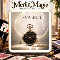 PsyWatch Marc Celiandre Damien Vappereau