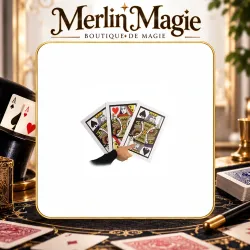 La Dame Introuvable XXL – Tour de cartes géantes