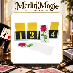 Four Colour Flower Prediction