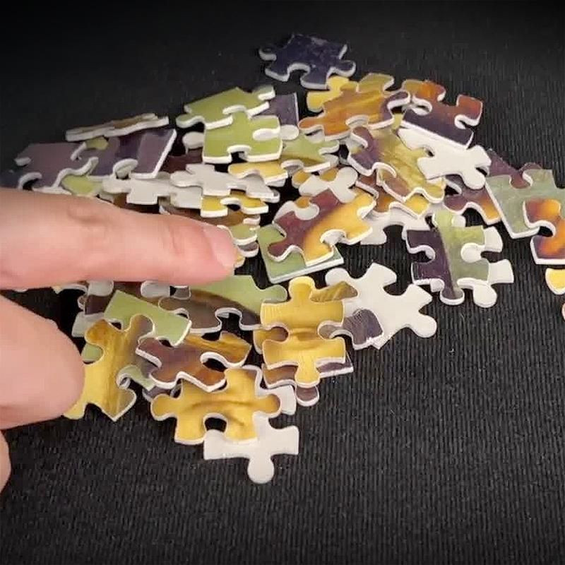 The Final Piece par Tenyo - Puzzle magique